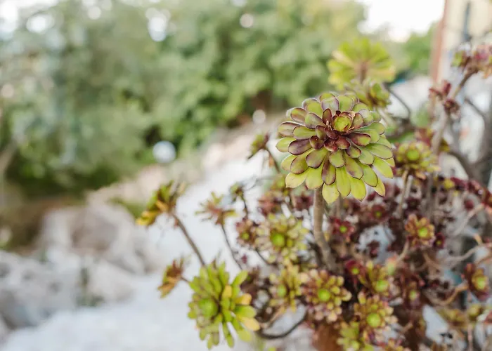 בית נופש Valentina *